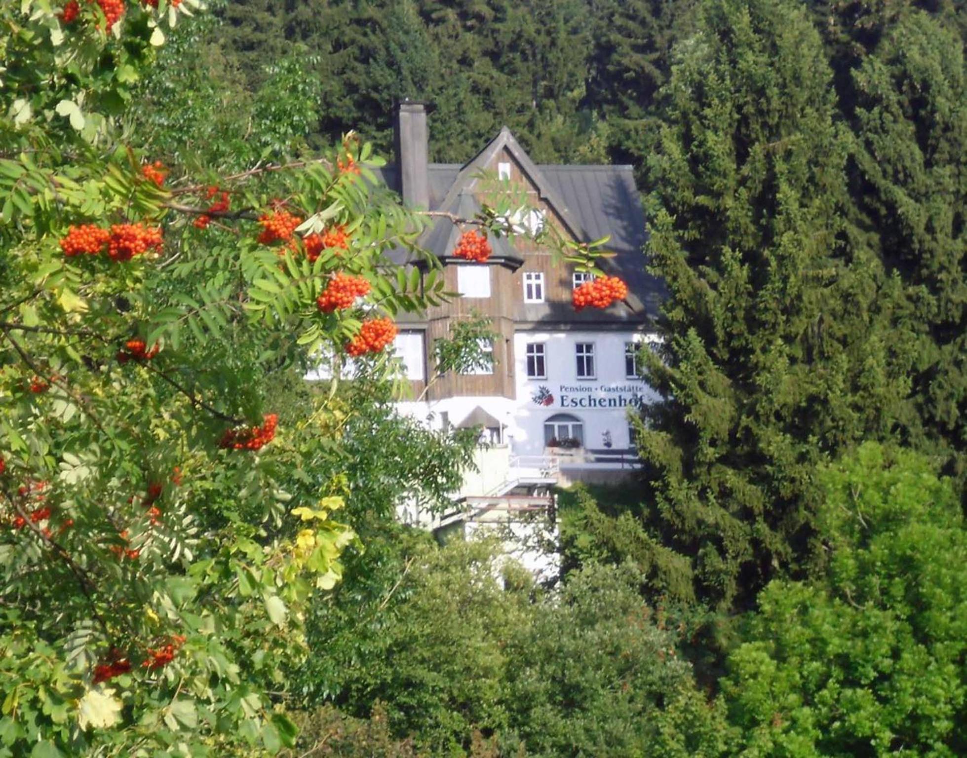 Pension Und Gaststaette Naturbaude Eschenhof โอเบอร์วีเซินธาล ภายนอก รูปภาพ